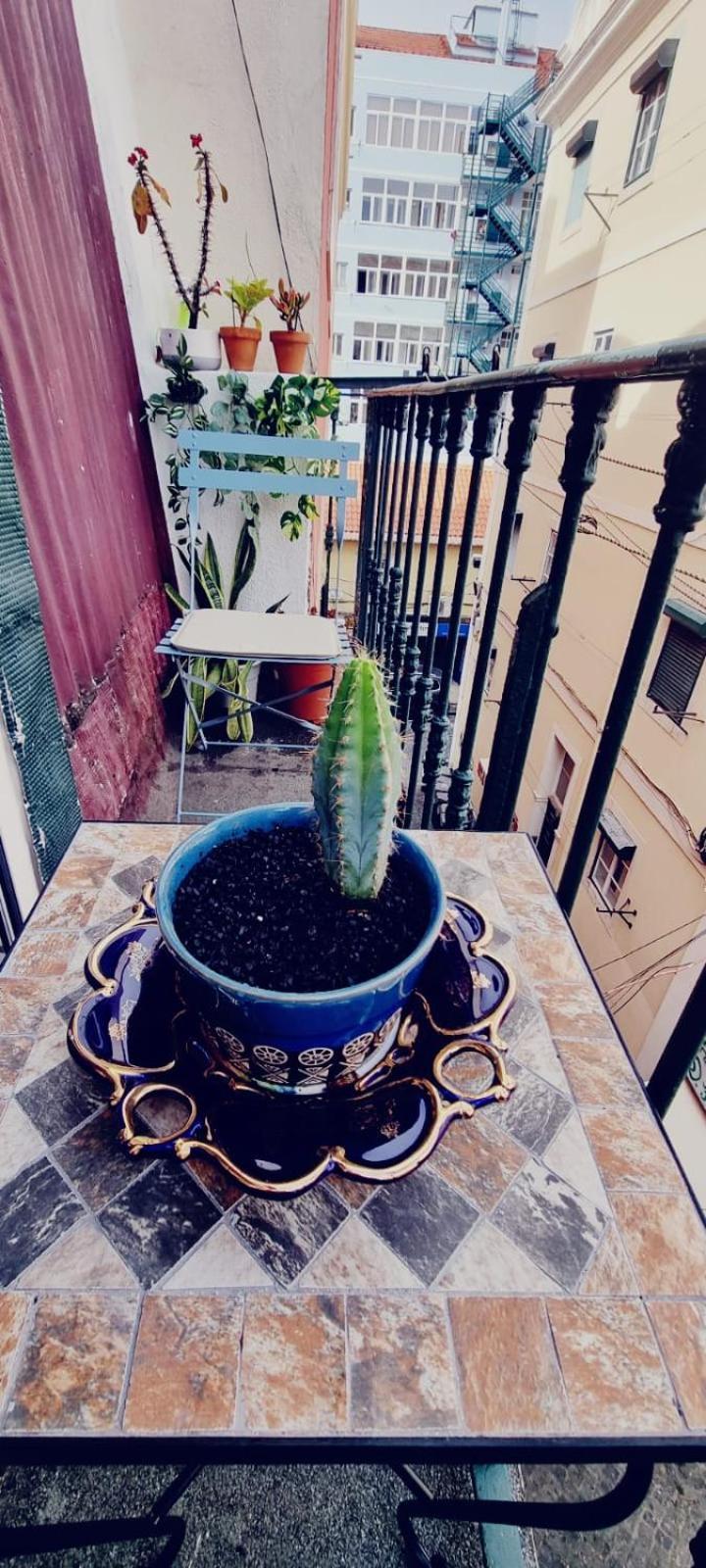 Charming Central Apartment To Rent Lisboa Exterior foto